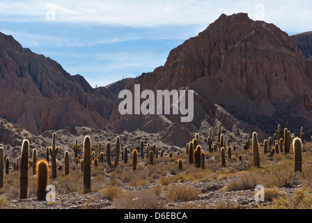 Salta, Provincia di Salta, Argentinien Stockfoto