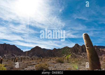 Salta, Provincia di Salta, Argentinien Stockfoto