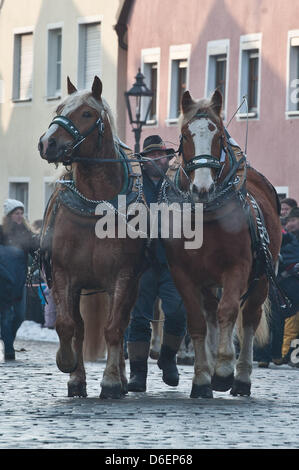 Zwei Pferde sind auf dem Pferdemarkt (Rossmarkt) in Berching, Deutschland, 8. Februar 2012 geführt. Der Rossmarkt ist das größte bayerische Volksfest im Winter. Einige der Pferdebesitzer kommen seit Jahrzehnten zur Messe. Foto: Armin Weigel Stockfoto