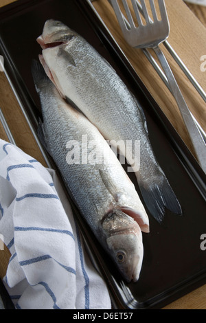 Roher Seebarsch Stockfoto