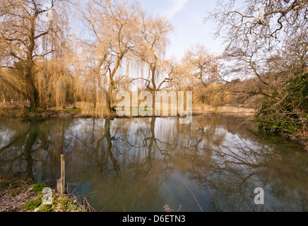 Der Fluss Wey fließt durch die Surrey Landschaft vor den Toren Farnham Surrey UK Stockfoto