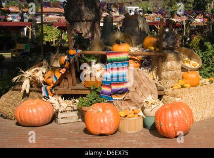 Fallen Sie Ernte Gemüse, Kürbisse, Blumen und Gräsern auf Anzeige im Old Town San Diego Stockfoto