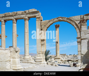 Römische Kunst. Syrien. Palmyra. Decumanus (Allee). Die Ruinen. 3. Jahrhundert. Oase Tadmor. Stockfoto