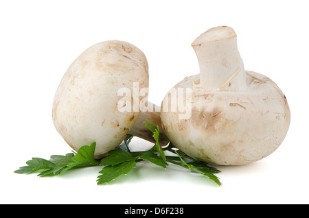 Champignon-Pilze und Petersilie isoliert auf weißem Hintergrund Stockfoto