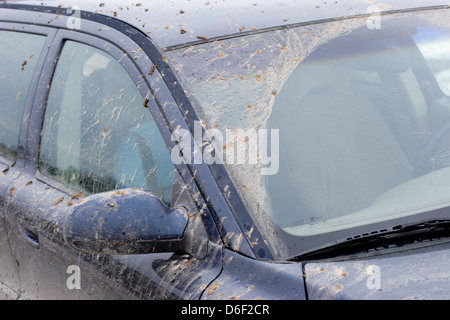 Moderne Auto abgedeckt im Schlamm, wegen der nassen und schlammigen Frühling Straßen. Europa Stockfoto