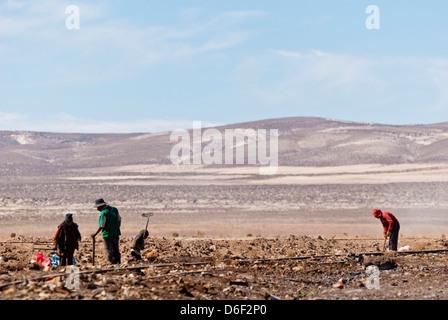 Bolivien, Uyuni Stockfoto