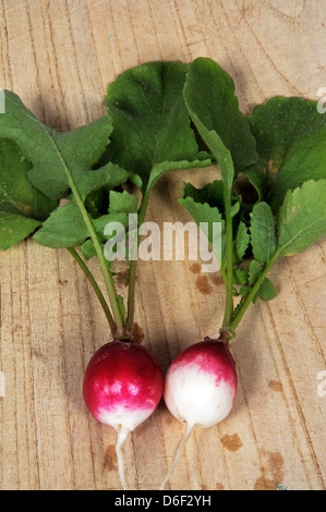 Red Head Rettich auf ein Schneidbrett aus Holz. Stockfoto