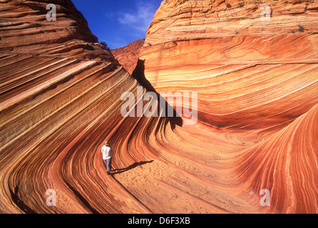Touristen, die zu Fuß auf dem Sandstein flossen in Coyote Buttes north Wave Vermillion Cliffs Utah Arizona Vereinigte Staaten von Amerika Stockfoto