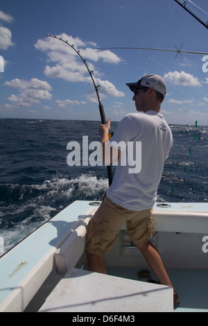 Angeln für Delphin Fisch (Mahi-Mahi) von Fort Pierce, FL Stockfoto