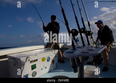 Angeln für Delphin Fisch (Mahi-Mahi) von Fort Pierce, FL Stockfoto