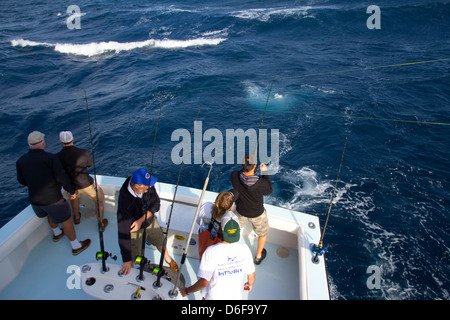 Angeln für Delphin Fisch (Mahi-Mahi) von Fort Pierce, FL Stockfoto