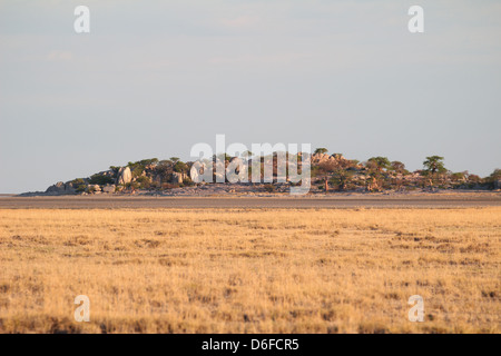 Blick auf Kubu Island, Sua Salzpfanne, Botswana Stockfoto