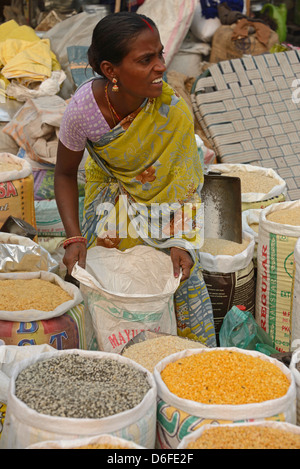 Khari Baolispice Markt befindet sich in Chandni Chowk in Alt-Delhi, Indien. Stockfoto