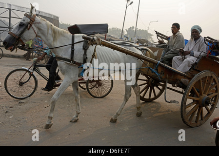 Ein unterernährtes Pferd zeigt seinen Brustkorb und zieht einen Wagen in Alt-Delhi, Indien. Stockfoto