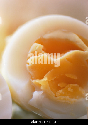 Nahaufnahme von Ei Stockfoto
