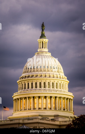 Kuppel des Kapitol Washington, D.C. Stockfoto