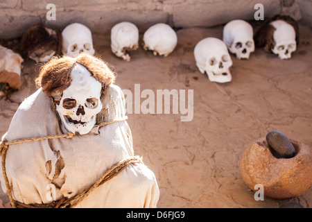 Mumie im Chauchilla Friedhof (Cementerio de Chauchilla), in den 1920er Jahren entdeckt. Stockfoto