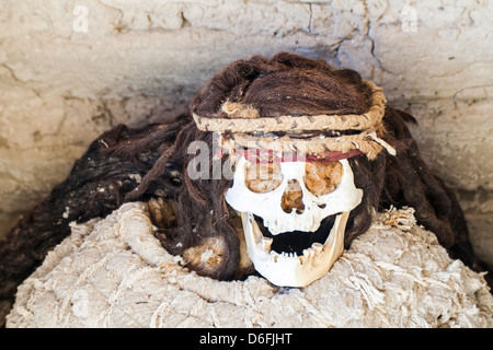 Mumie im Chauchilla Friedhof (Cementerio de Chauchilla), in den 1920er Jahren entdeckt. Stockfoto