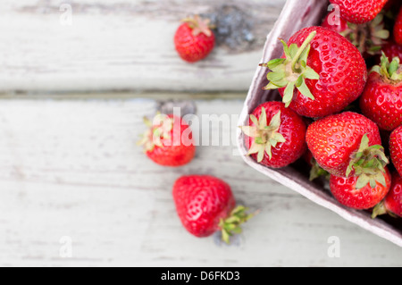 Ein Karton voller Reife rote Erdbeeren, auf eine leicht verwitterte Holzbank Stockfoto