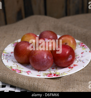 Pflaumen Stockfoto