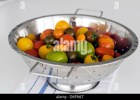 Gemischte Sorten Tomaten / rot, grün, gelb, Stockfoto