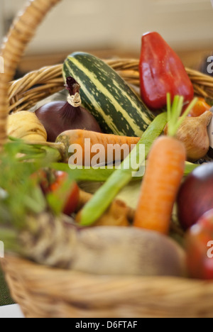 Gemüse auf dem Display an einem Gartenbaumesse Stockfoto