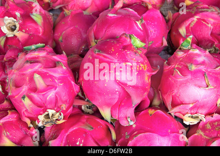 Dragon Fruit Pitahayas bei Obst und Gemüse stehen im südostasiatischen Markt Closeup Hintergrund Stockfoto