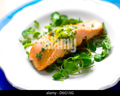 Lachs und Kräuter Butter/Schritt erschossen Stockfoto