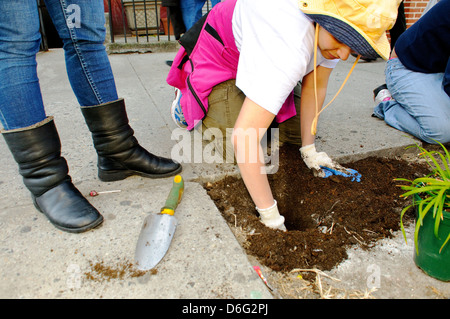 Teenager Freiwillige im Straßengarten in Harlem, New York City, Stockfoto