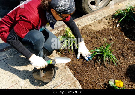 Teenager Freiwillige im Straßengarten in Harlem, New York City, Stockfoto