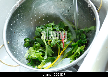 Gemischten Salat waschen lässt Stockfoto