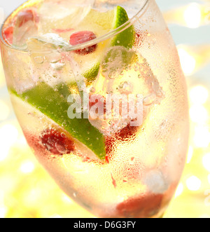 Gin und Cranberry cocktail Stockfoto