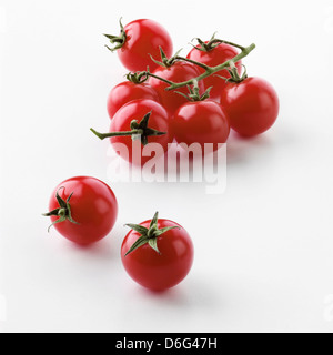 Cherry-Tomaten am Rebstock Stockfoto