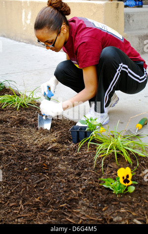 Teenager Freiwillige im Straßengarten in Harlem, New York City, Stockfoto