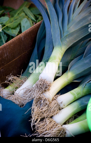 Frischem Lauch auf dem Markt Stockfoto