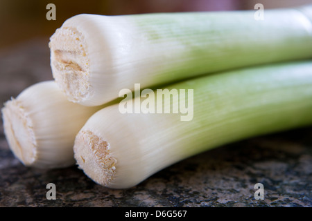 Frischem Lauch Stockfoto