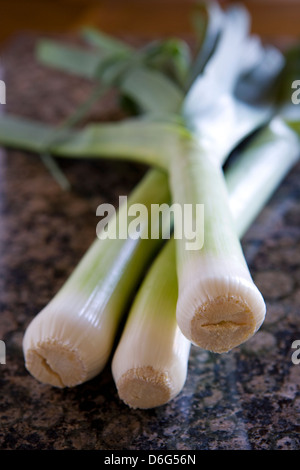 Frischem Lauch Stockfoto