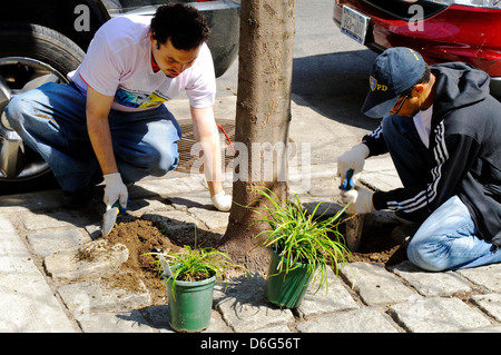 Teenager Freiwillige im Straßengarten in Harlem, New York City, Stockfoto