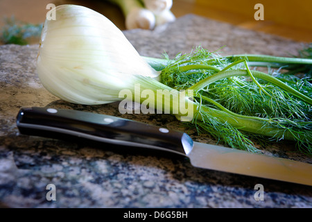 Frischer Fenchel Birne und Laub und einem Küchenmesser Stockfoto