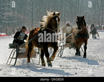 Mit Dampfenden Nüstern Und Bei Klirrender Kälte Traben Kaltblütler bin Sonntag (12.02.2012) Bei Dem Bäuerlichen Schlittenrennen in Schleching Im Oberbayerischen Landkreis Traunstein Über sterben Schneebahn. Landwirte Und Pferdehalter Haben Sich Mit Ihren Fahrkünsten Bei der Traditionellen Veranstaltung Tempolimit. Foto: Diether Endlicher Dpa/Lby +++(c) Dpa - Bildfunk +++ Stockfoto