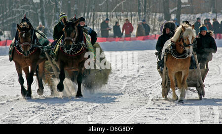 Mit Dampfenden Nüstern Und Bei Klirrender Kälte Traben Kaltblütler bin Sonntag (12.02.2012) Bei Dem Bäuerlichen Schlittenrennen in Schleching Im Oberbayerischen Landkreis Traunstein Über sterben Schneebahn. Landwirte Und Pferdehalter Haben Sich Mit Ihren Fahrkünsten Bei der Traditionellen Veranstaltung Tempolimit. Foto: Diether Endlicher Dpa/Lby +++(c) Dpa - Bildfunk +++ Stockfoto