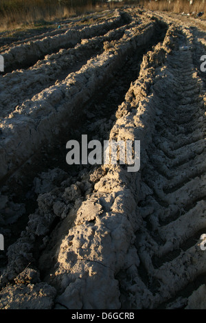 Track im Dreck 4 x 4 cross im freien extremen Hintergrund Stockfoto