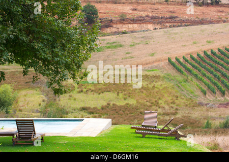 Weinberge in Stellenbosch, Western Cape, Südafrika. Simonsberg Bergkette im Hintergrund. Stockfoto