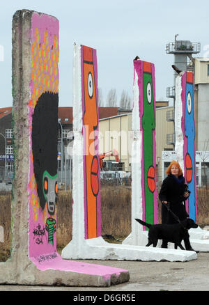 Bunt bemalten Teile der Berliner Mauer stehen auf dem Gelände der künftigen kommunalen Hafen in Teltow, Deutschland, 22. Februar 2012. Kloesters Baustoffwerke GmbH hatte 15 original Stück der Berliner Mauer gemalt auf beiden Seiten der Zeppelinstraße in der Nähe, wo die Grenze verwendet werden. Die Stücke werden auch zum Verkauf angeboten. Foto: Bernd Settnik Stockfoto