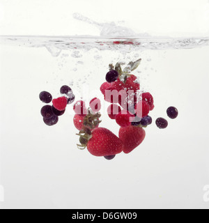 Erdbeeren und Heidelbeeren in Wasser plantschen Stockfoto
