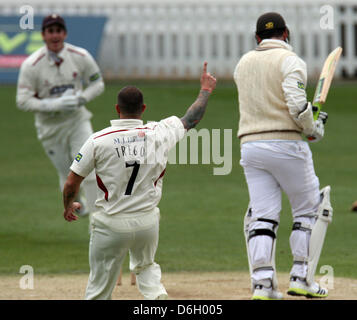 London, UK. 18. April 2013.  Peter Trego von Somerset CCC feiert das Wicket Graeme Smith Surrey CCCduring LV County Championship Division 1 Spiel zwischen Surrey und Somerset aus dem Oval. Stockfoto