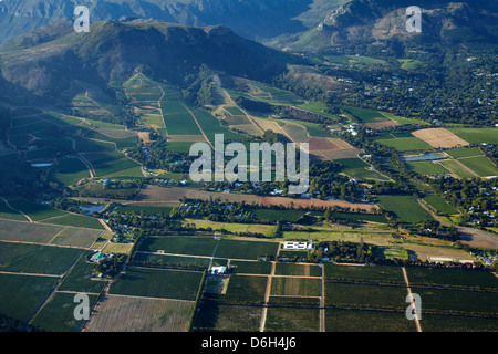 Weinberge, Constantia, Kapstadt, Südafrika - Antenne Stockfoto
