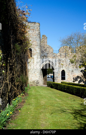 Ruinen des alten Bischofspalastes, Llandaff, Cardiff, Wales. Stockfoto