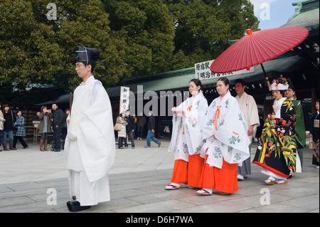Trauung, Meiji-Jingu Schrein, Tokyo, Japan, Asien Stockfoto