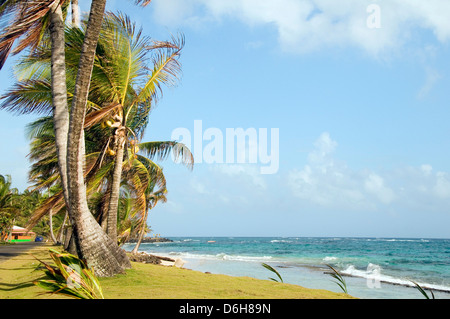 unbebauten Sally Peach Strand Palmen am karibischen Meer mit einheimischen Gebäude Big Corn Island Nicaragua Zentralamerika Stockfoto